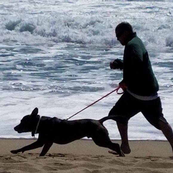 Meet your Posher, Ray - Picture 1 of 1